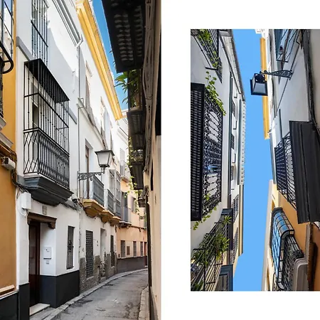 Magno Virgenes Luxury House 塞维利亚